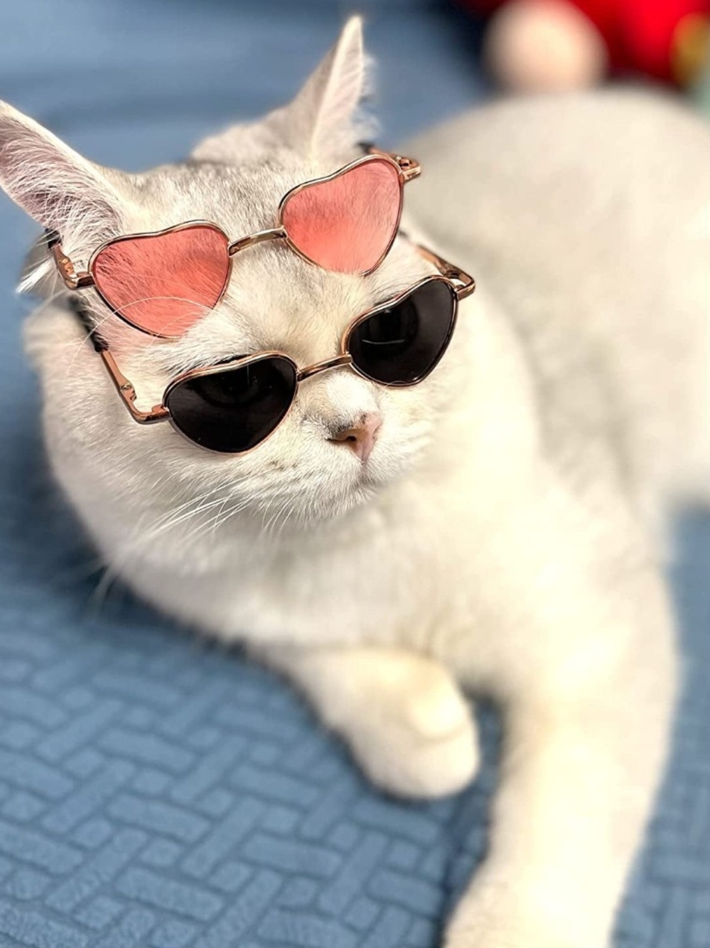 🐾🕶️🐾 New Fashion Dog, Cats, Pet Glasses, Creative Trend, Photo, Round Frame